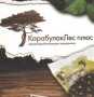 Логотип фирмы Леспромхоз Карабулак лес Плюс