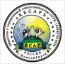 Логотип фирмы ООО Кесарь
