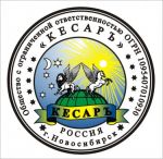 Логотип фирмы ООО Кесарь