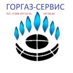 Логотип фирмы ООО ГОРГАЗ-СЕРВИСНН