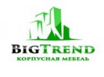 Логотип фирмы BiG Trend - корпусная мебель