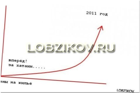 Чего нам ждать от 2011 года?