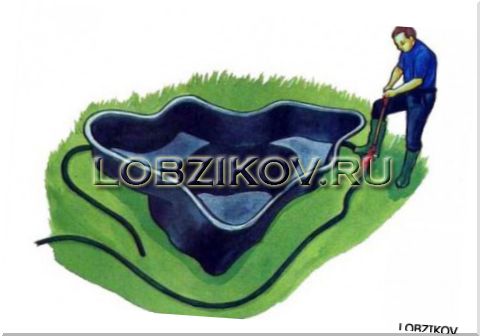 Как правильно сделать пруд около дома