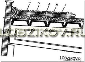 Виды крыш