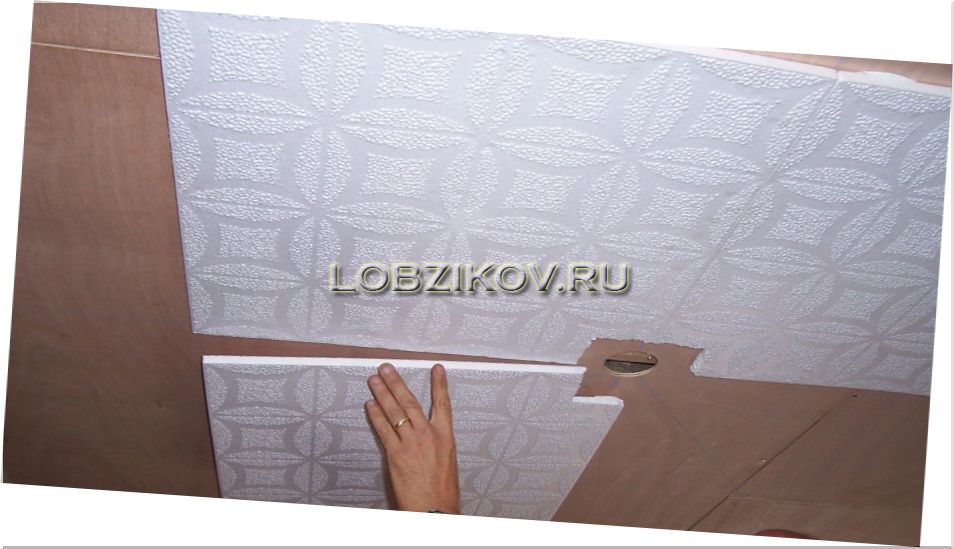 Картинка 4 из 17703